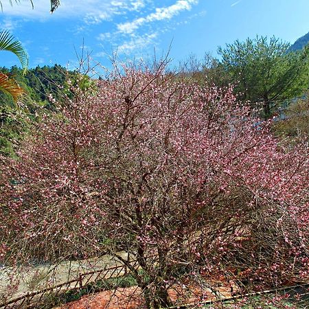 Li Jin Kuan Homestay Nanzhuang Buitenkant foto