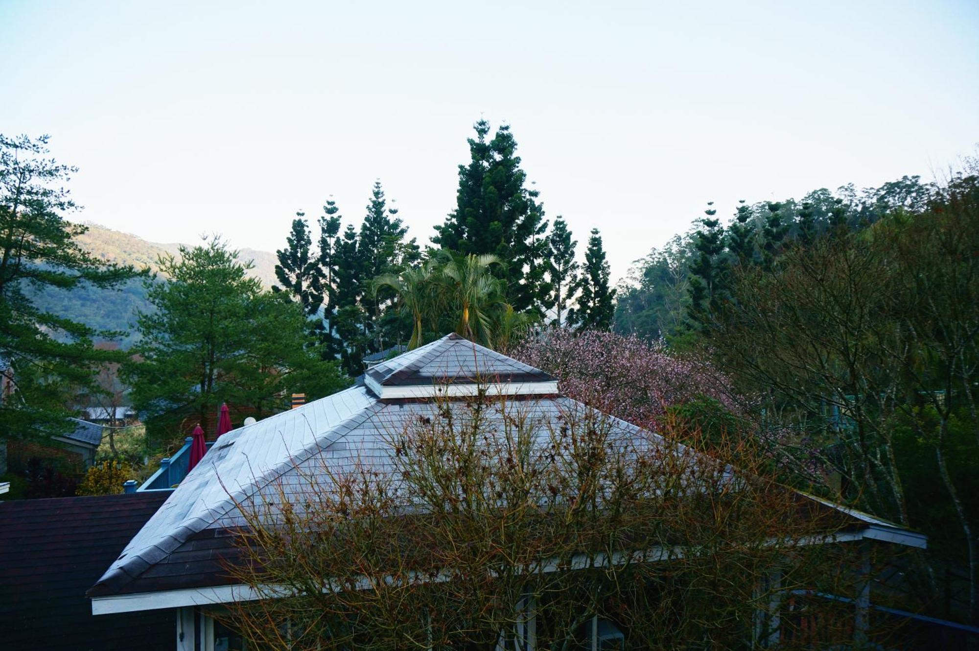 Li Jin Kuan Homestay Nanzhuang Buitenkant foto